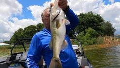 Largemouth Bass,black bass,Chain of Lakes,Winter Haven,Florida,fishing, fishing & dishing with David,